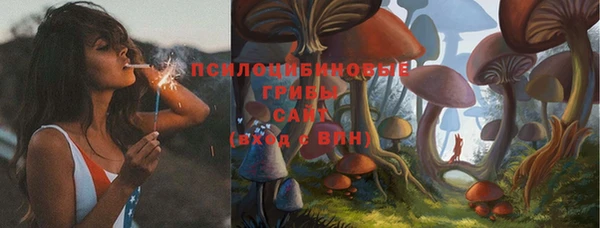 2c-b Лихославль