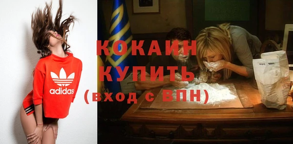 шишки Магадан