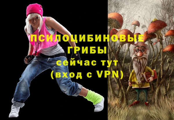 соль ск Липки