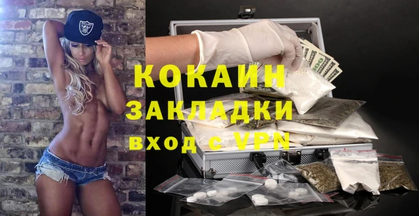 шишки Магадан