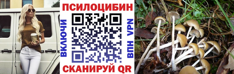 Псилоцибиновые грибы Cubensis  где найти наркотики  Мелеуз 