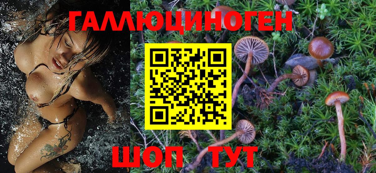 Псилоцибиновые грибы Psilocybe  Псилоцибиновые грибы Magic Shrooms  Вход с VPN  Мелеуз 